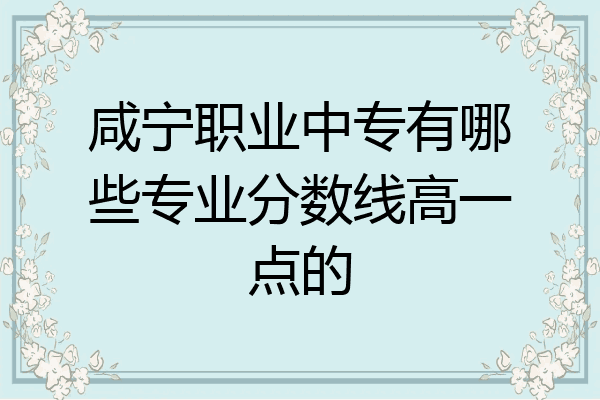 咸宁职业中专有哪些专业分数线高一点的