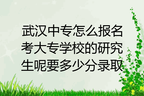 武汉中专怎么报名考大专学校的研究生呢要多少分录取
