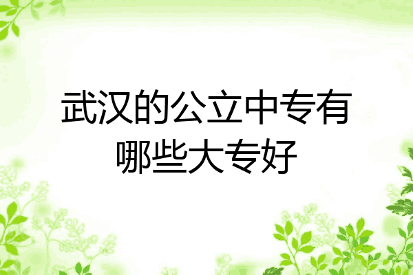 武汉的公立中专有哪些大专好