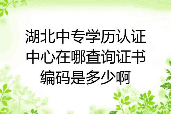 湖北中专学历认证中心在哪查询证书编码是多少啊