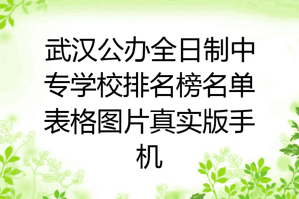 武汉公办全日制中专学校排名榜名单表格图片真实版手机