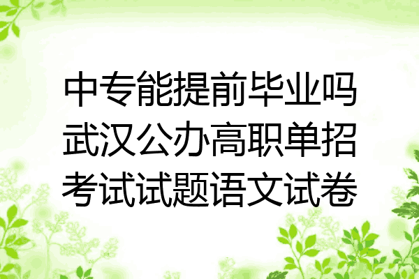 中专能提前毕业吗武汉公办高职单招考试试题语文试卷