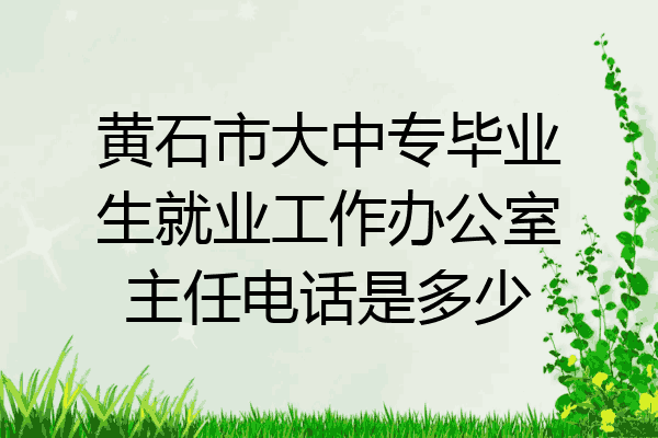 黄石市大中专毕业生就业工作办公室主任电话是多少