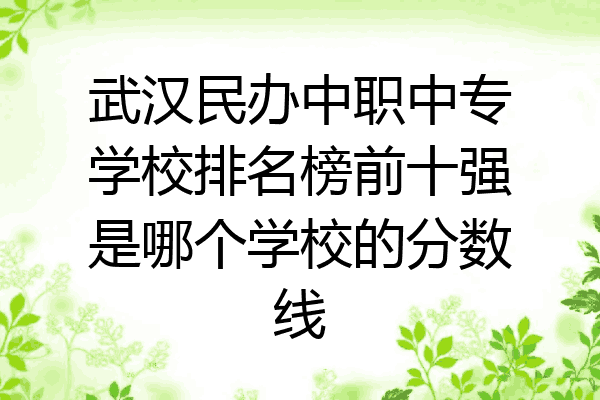 武汉民办中职中专学校排名榜前十强是哪个学校的分数线