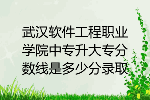 武汉软件工程职业学院中专升大专分数线是多少分录取