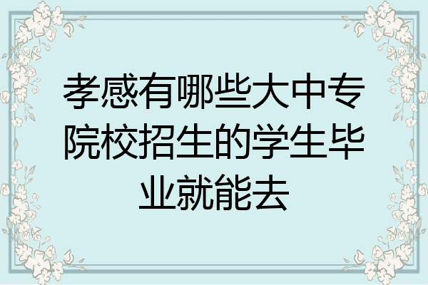 孝感有哪些大中专院校招生的学生毕业就能去