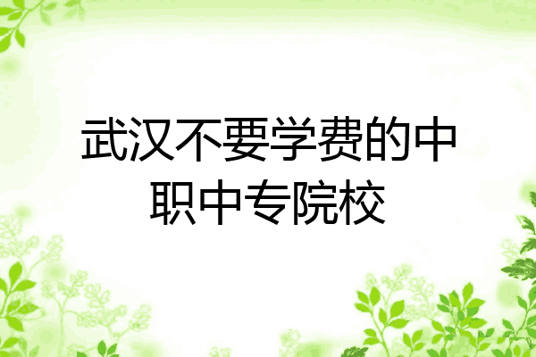 武汉不要学费的中职中专院校