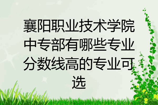 襄阳职业技术学院中专部有哪些专业分数线高的专业可选