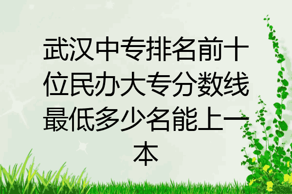 武汉中专排名前十位民办大专分数线最低多少名能上一本