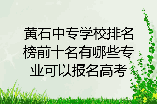 黄石中专学校排名榜前十名有哪些专业可以报名高考