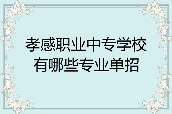 孝感职业中专学校有哪些专业单招
