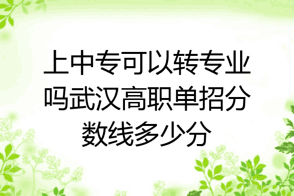 上中专可以转专业吗武汉高职单招分数线多少分