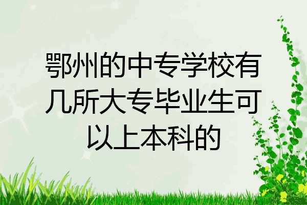 鄂州的中专学校有几所大专毕业生可以上本科的