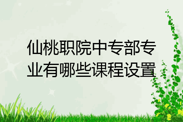 仙桃职院中专部专业有哪些课程设置