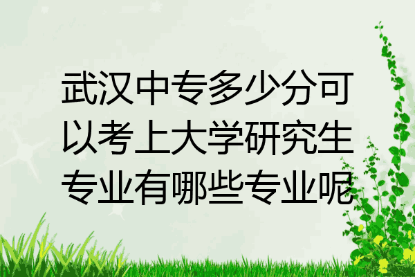 武汉中专多少分可以考上大学研究生专业有哪些专业呢