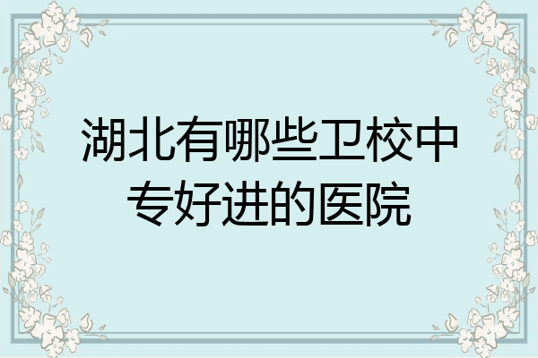 湖北有哪些卫校中专好进的医院