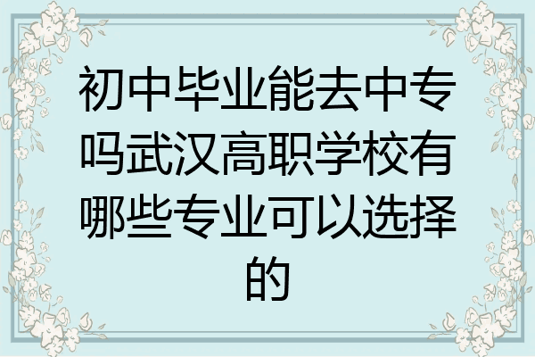 初中毕业能去中专吗武汉高职学校有哪些专业可以选择的