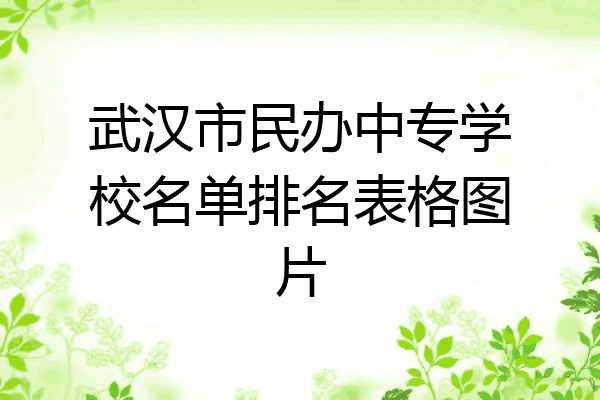 武汉市民办中专学校名单排名表格图片