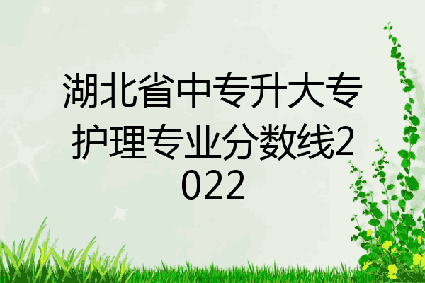 湖北省中专升大专护理专业分数线2022