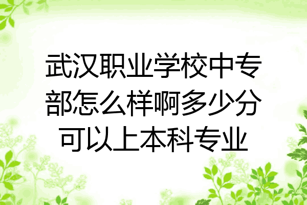 武汉职业学校中专部怎么样啊多少分可以上本科专业