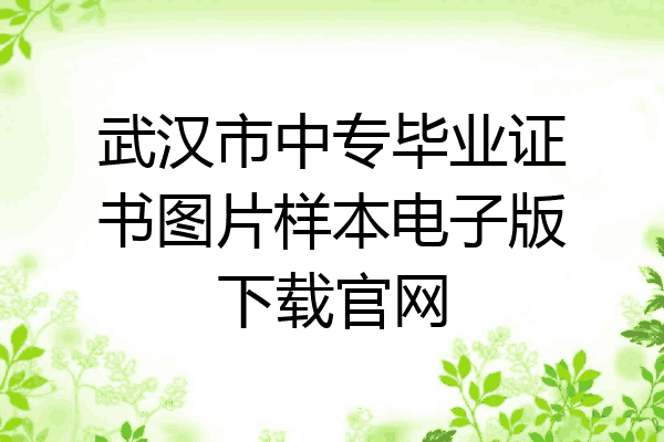 武汉市中专毕业证书图片样本电子版下载官网