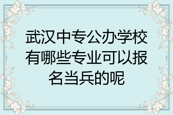 武汉中专公办学校有哪些专业可以报名当兵的呢
