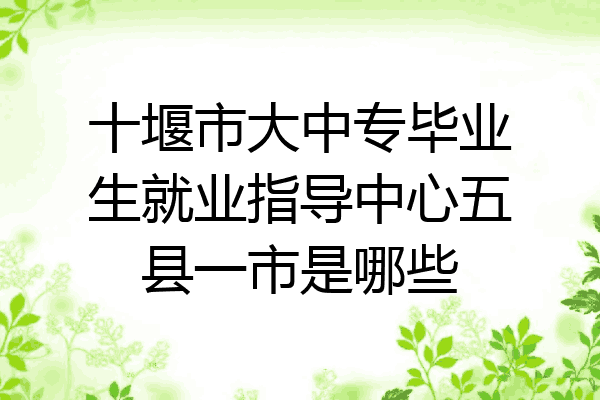 十堰市大中专毕业生就业指导中心五县一市是哪些