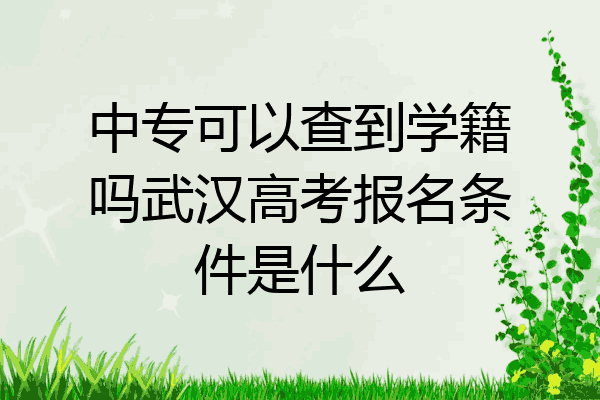 中专可以查到学籍吗武汉高考报名条件是什么