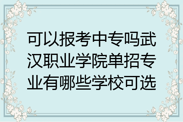 可以报考中专吗武汉职业学院单招专业有哪些学校可选