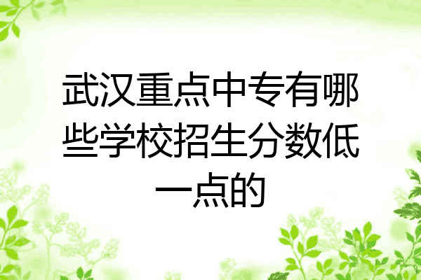 武汉重点中专有哪些学校招生分数低一点的