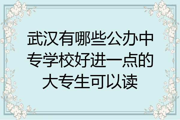 武汉有哪些公办中专学校好进一点的大专生可以读