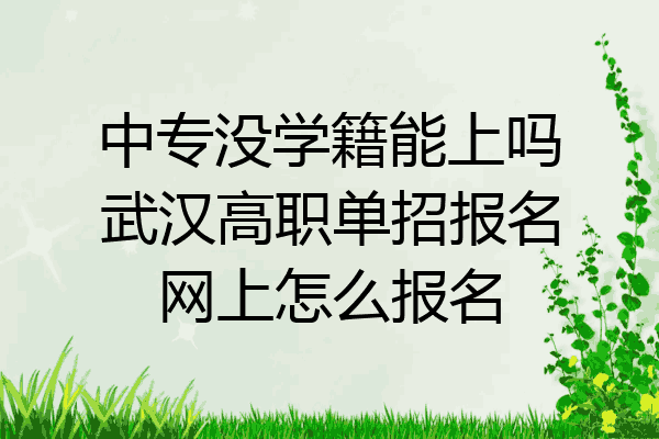 中专没学籍能上吗武汉高职单招报名网上怎么报名