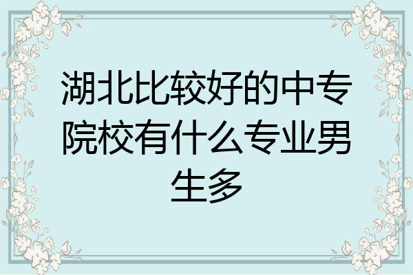 湖北比较好的中专院校有什么专业男生多