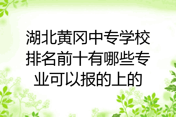 湖北黄冈中专学校排名前十有哪些专业可以报的上的