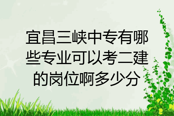 宜昌三峡中专有哪些专业可以考二建的岗位啊多少分