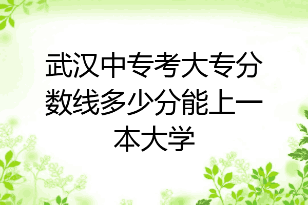 武汉中专考大专分数线多少分能上一本大学