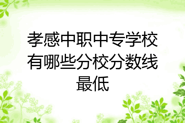 孝感中职中专学校有哪些分校分数线最低