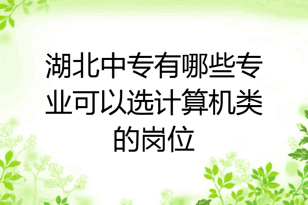 湖北中专有哪些专业可以选计算机类的岗位