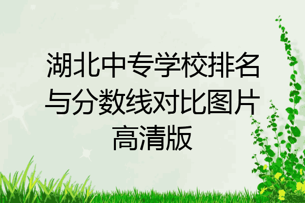 湖北中专学校排名与分数线对比图片高清版