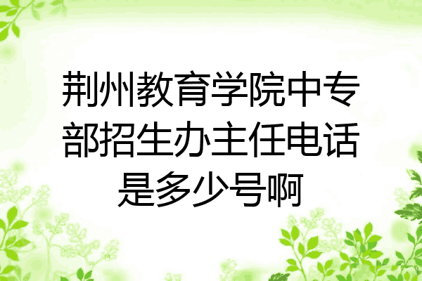荆州教育学院中专部招生办主任电话是多少号啊