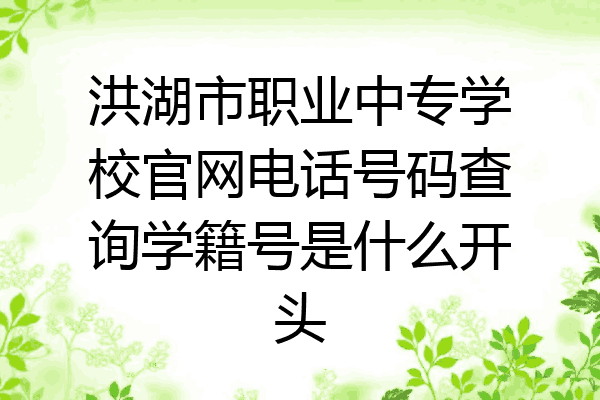 洪湖市职业中专学校官网电话号码查询学籍号是什么开头