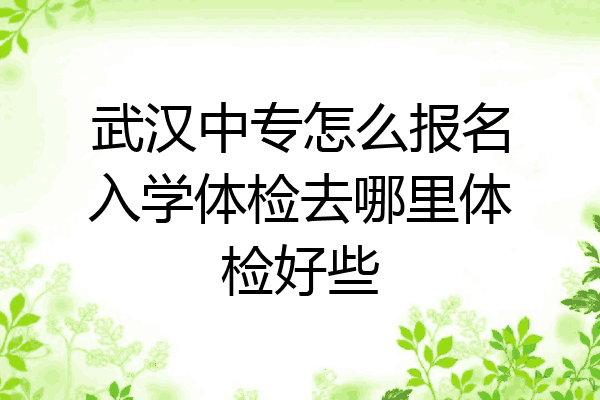 武汉中专怎么报名入学体检去哪里体检好些