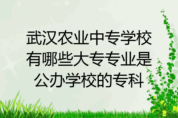 武汉农业中专学校有哪些大专专业是公办学校的专科