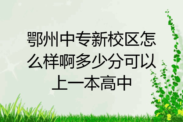 鄂州中专新校区怎么样啊多少分可以上一本高中