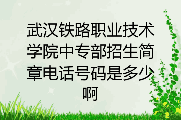 武汉铁路职业技术学院中专部招生简章电话号码是多少啊
