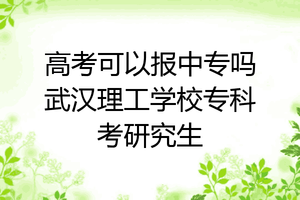 高考可以报中专吗武汉理工学校专科考研究生