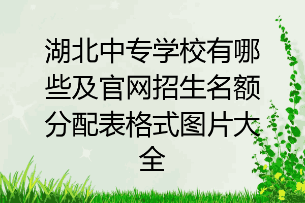 湖北中专学校有哪些及官网招生名额分配表格式图片大全