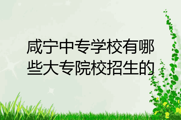 咸宁中专学校有哪些大专院校招生的