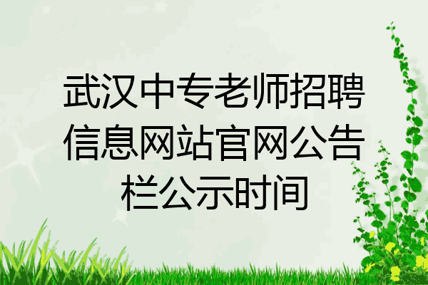 武汉中专老师招聘信息网站官网公告栏公示时间