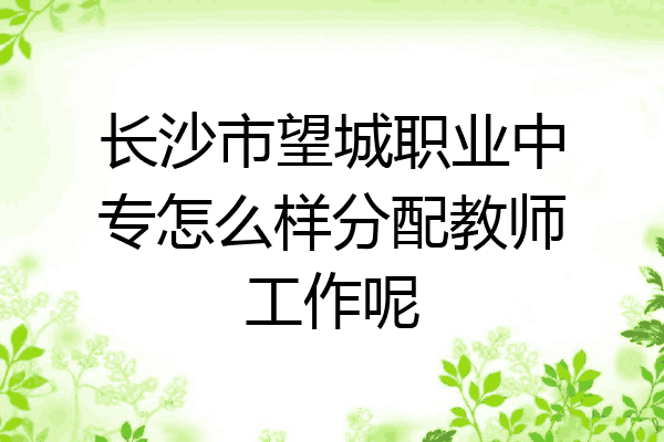 长沙市望城职业中专怎么样分配教师工作呢
